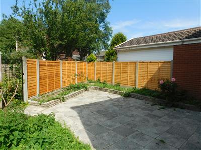 Picture 19